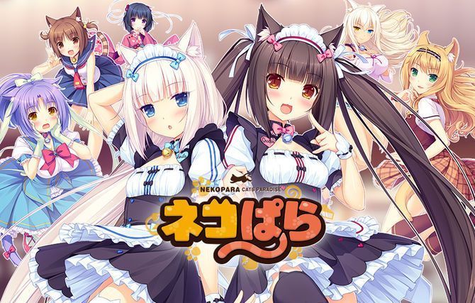네코파라