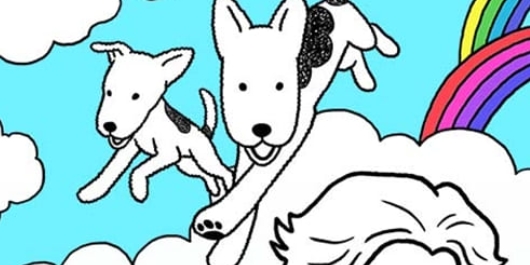 펫로스클럽