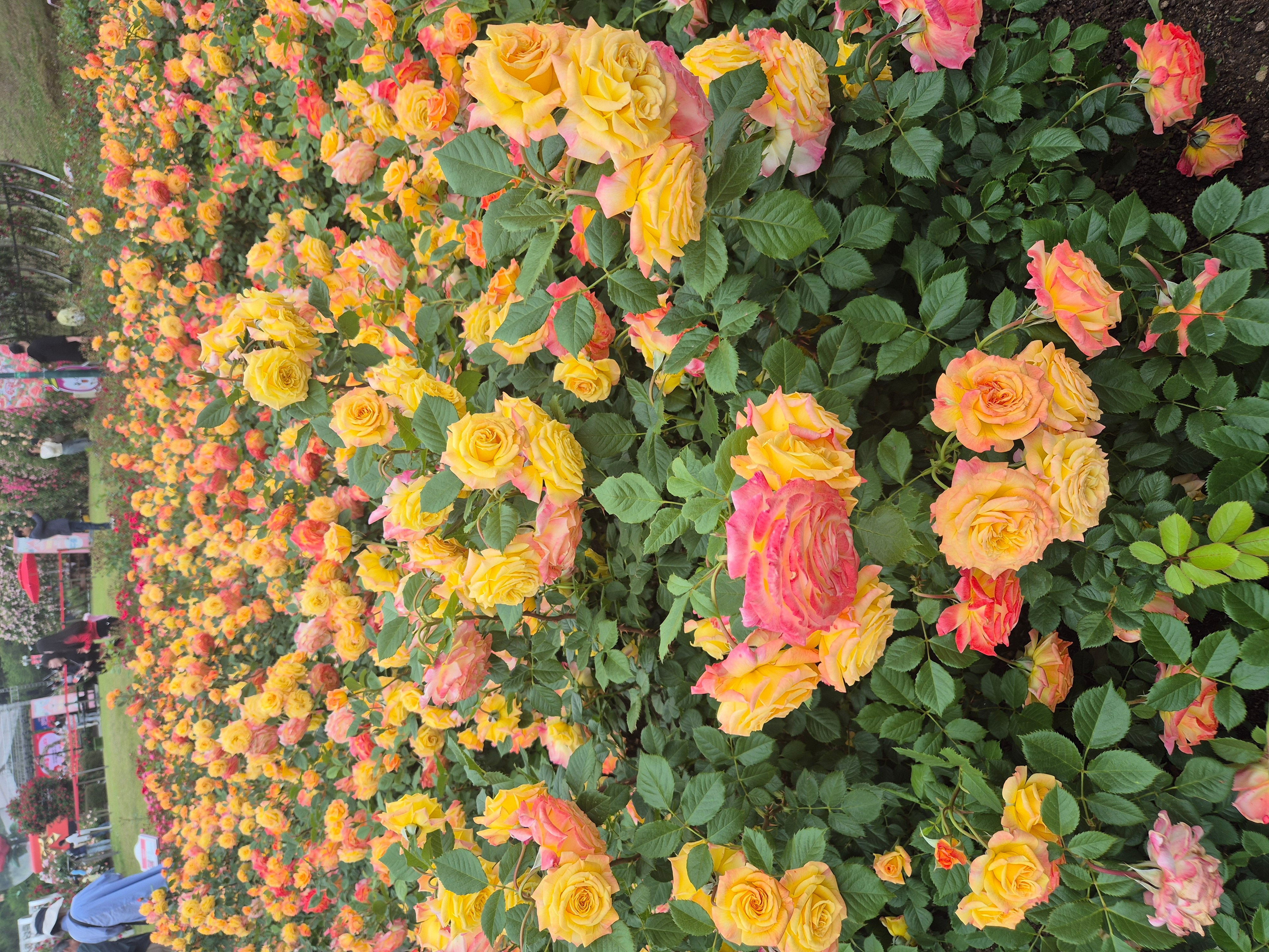 BlockNote image