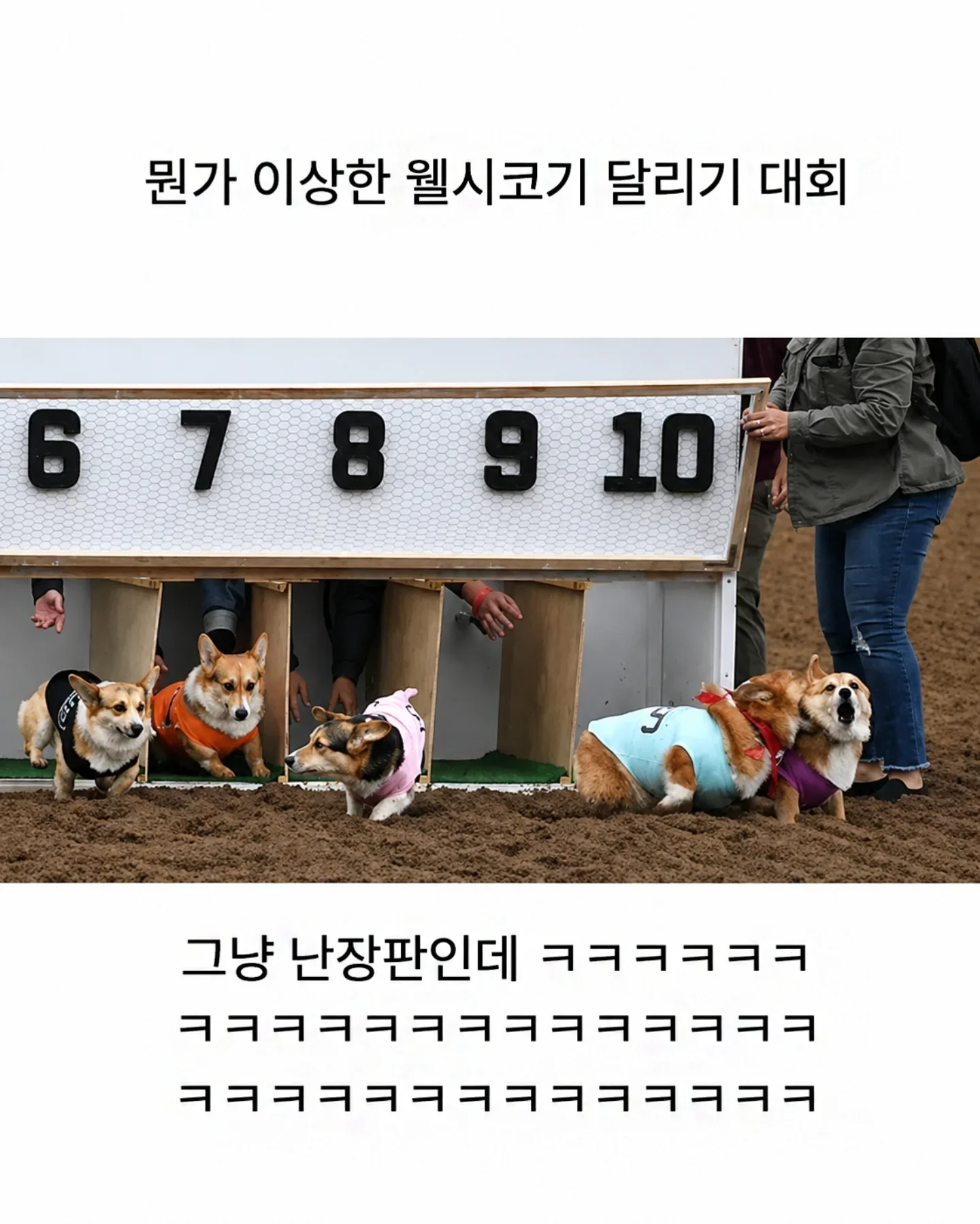 BlockNote image