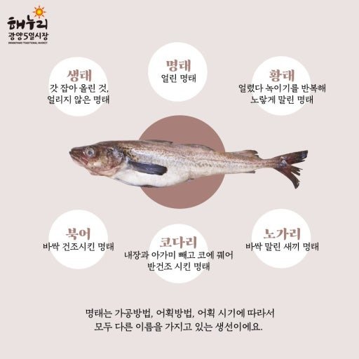 BlockNote image