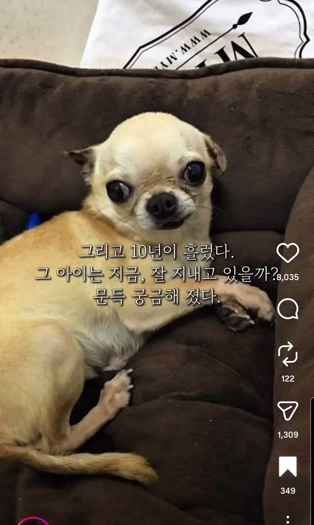 BlockNote image