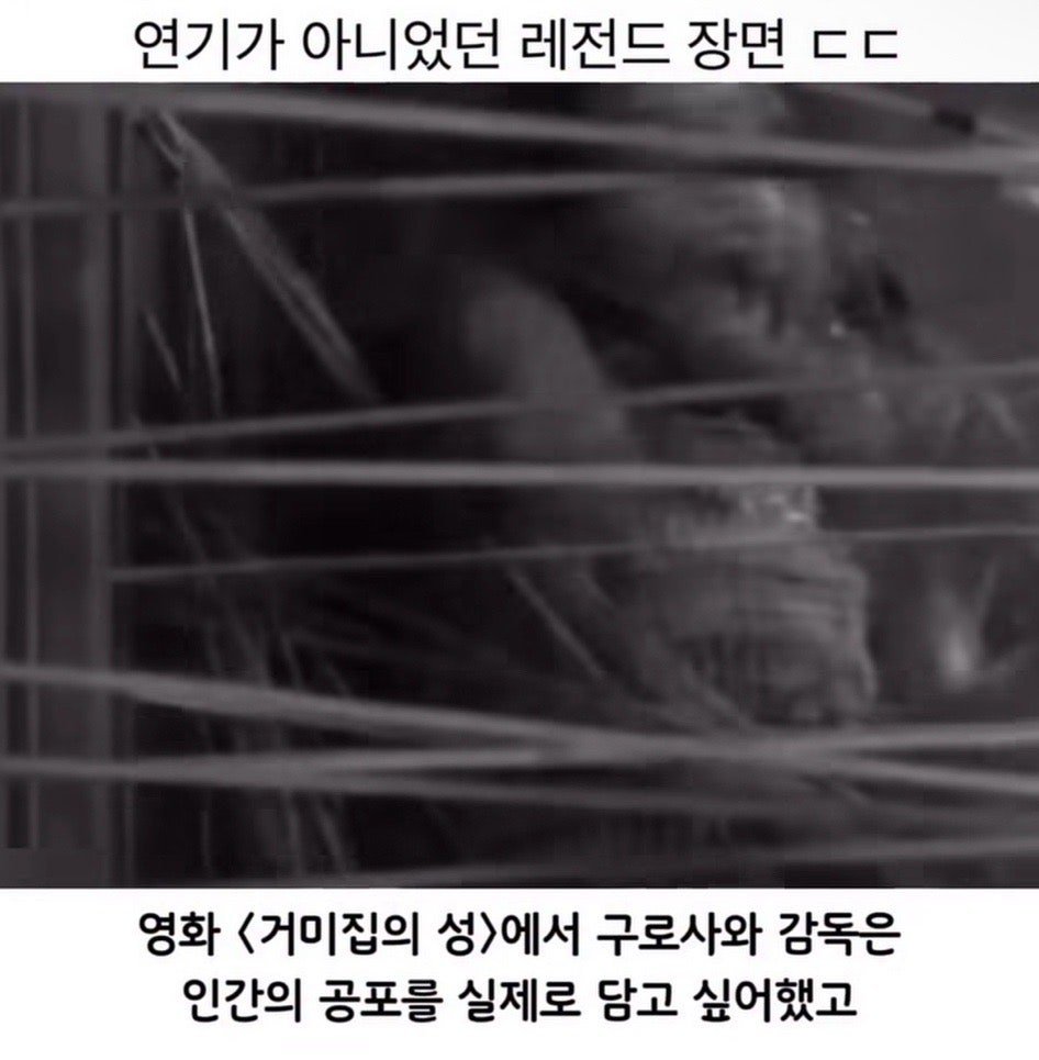 BlockNote image