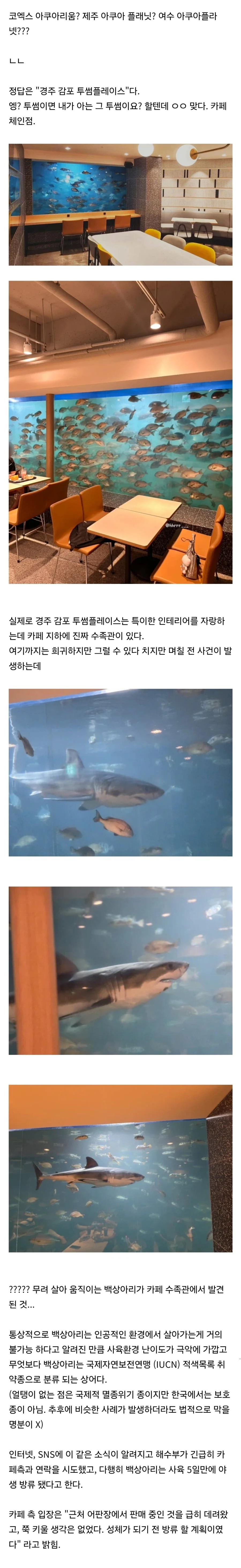 BlockNote image