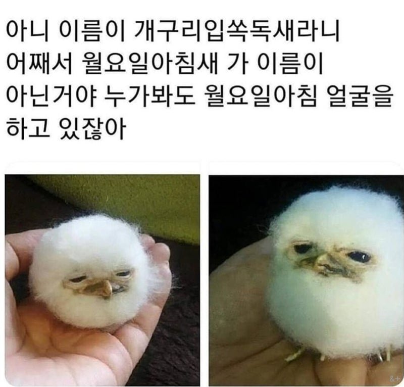 BlockNote image