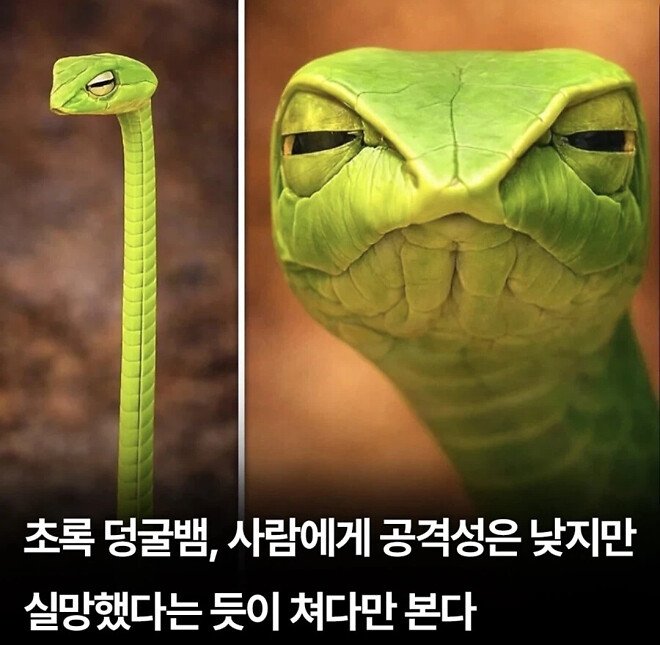 BlockNote image