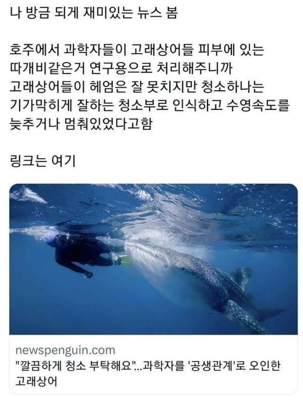 BlockNote image