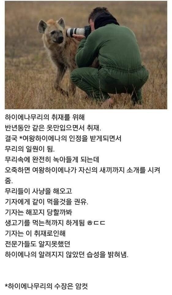 BlockNote image