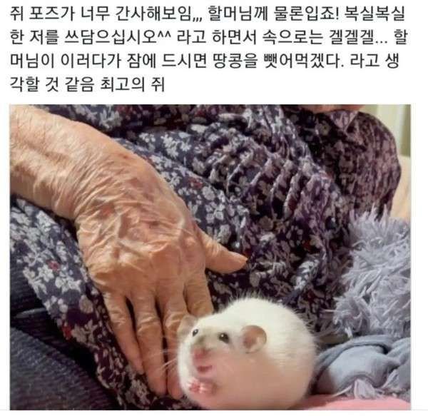 BlockNote image