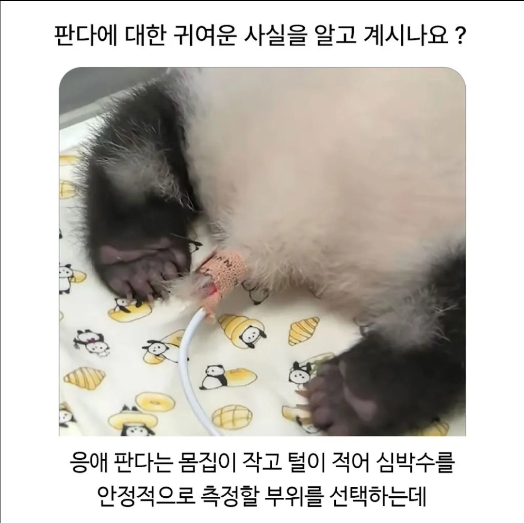 BlockNote image