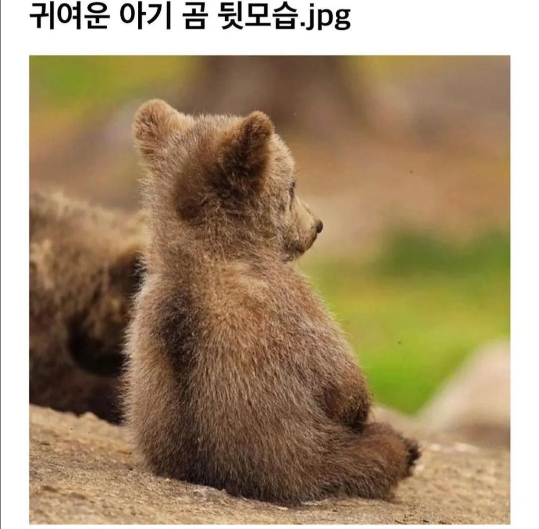 BlockNote image