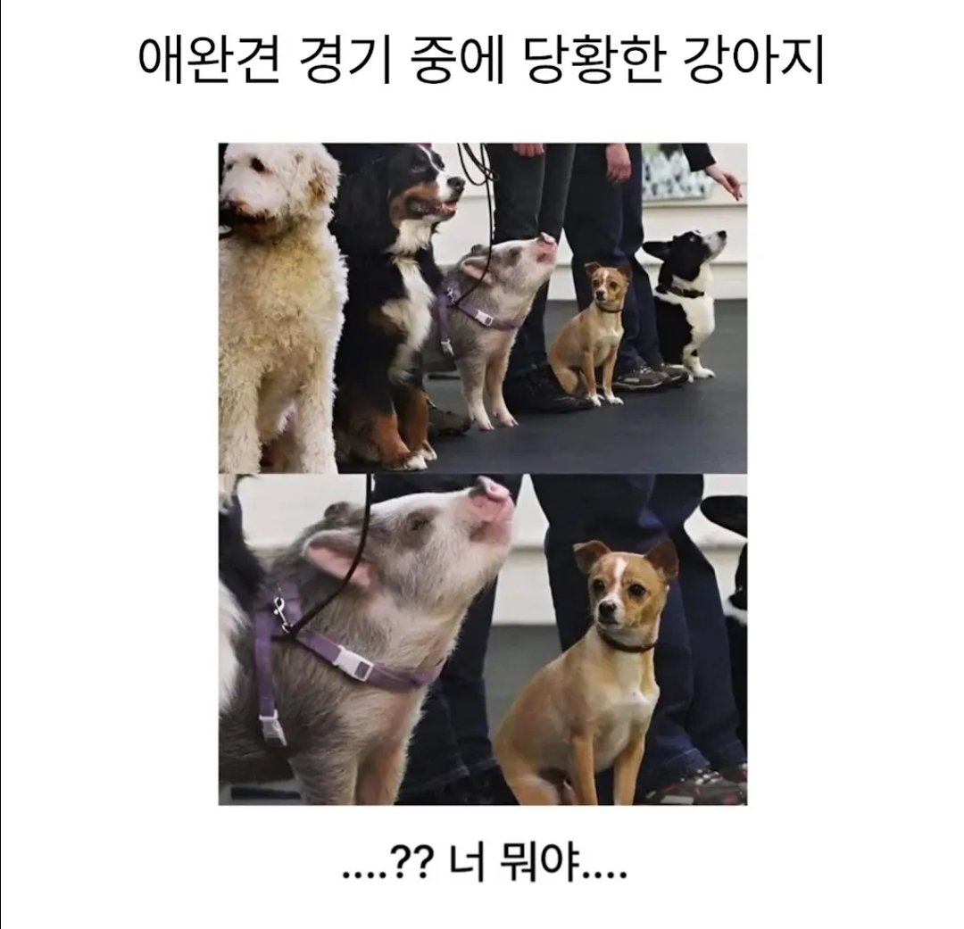 BlockNote image