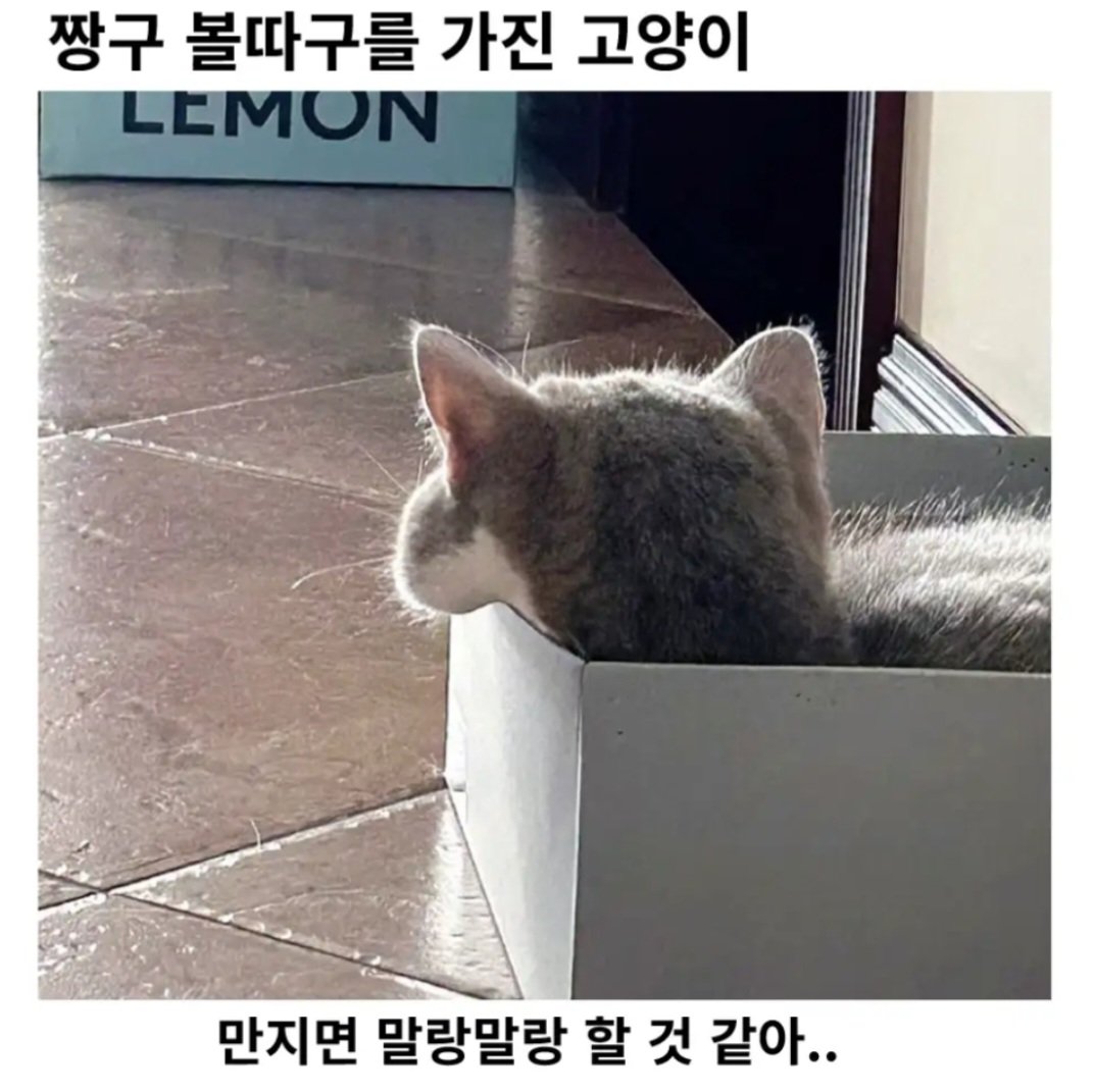 BlockNote image