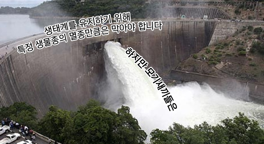 BlockNote image