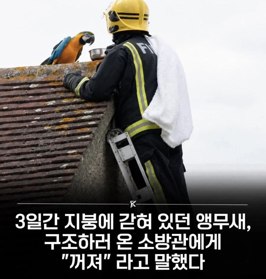 BlockNote image