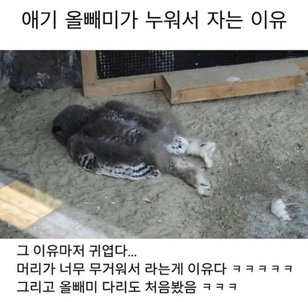 BlockNote image
