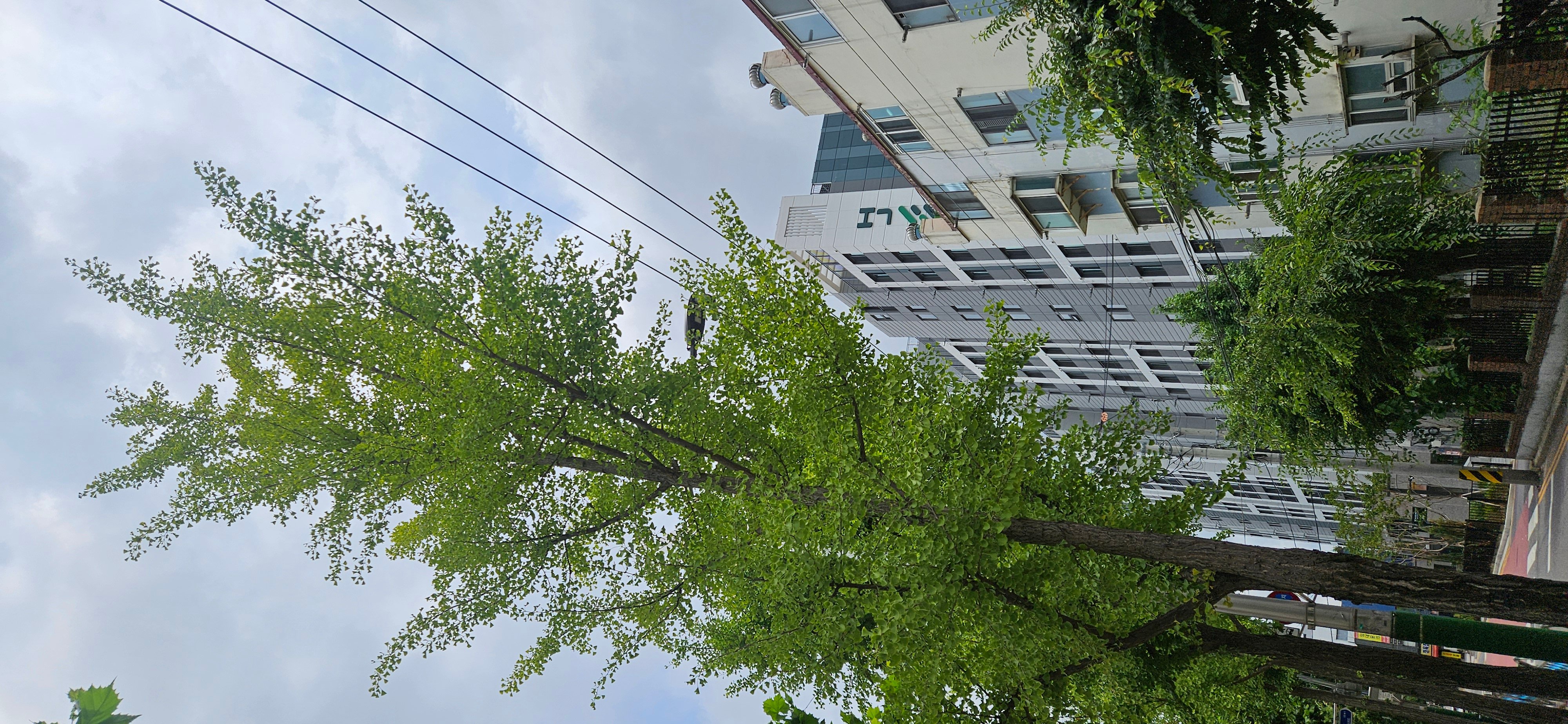 BlockNote image