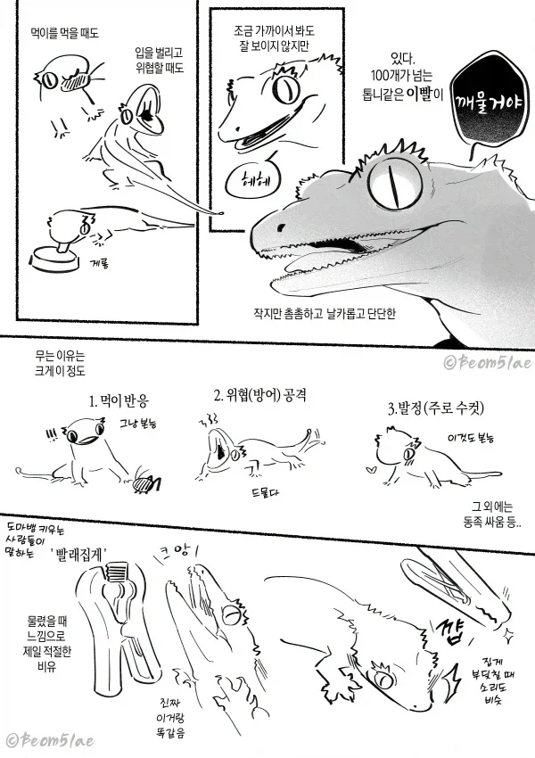 BlockNote image