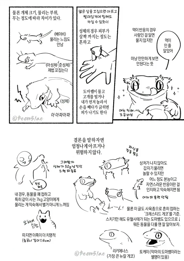 BlockNote image