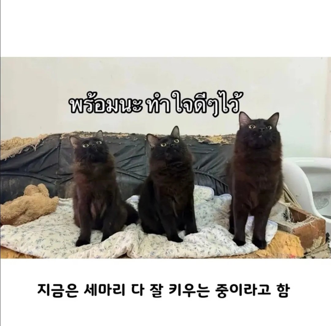 BlockNote image