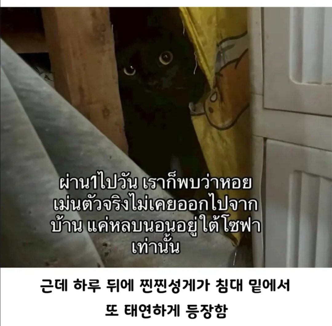 BlockNote image
