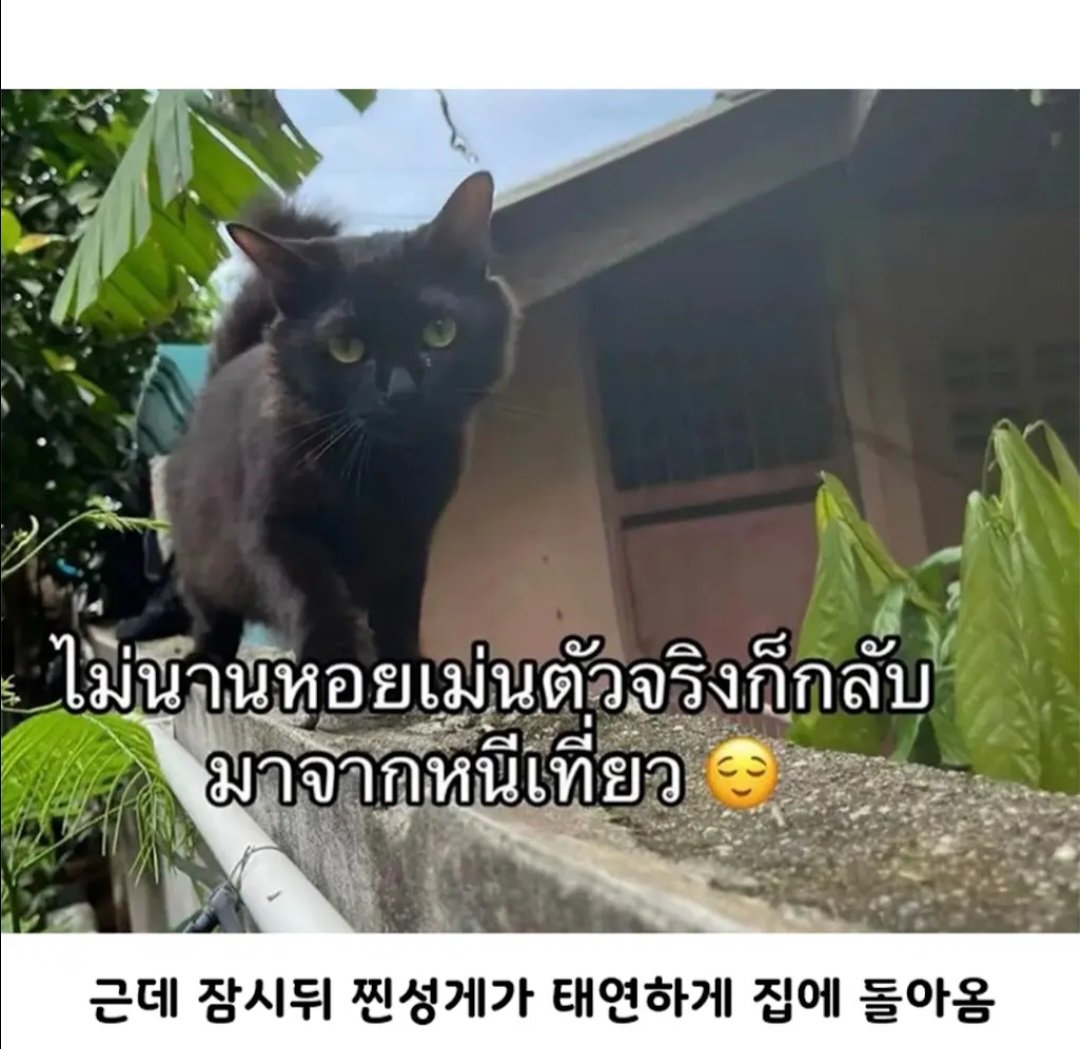 BlockNote image