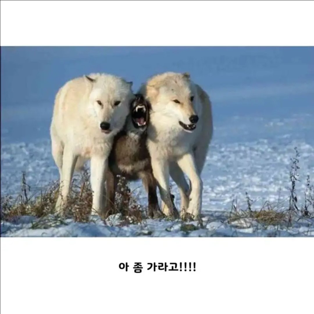 BlockNote image
