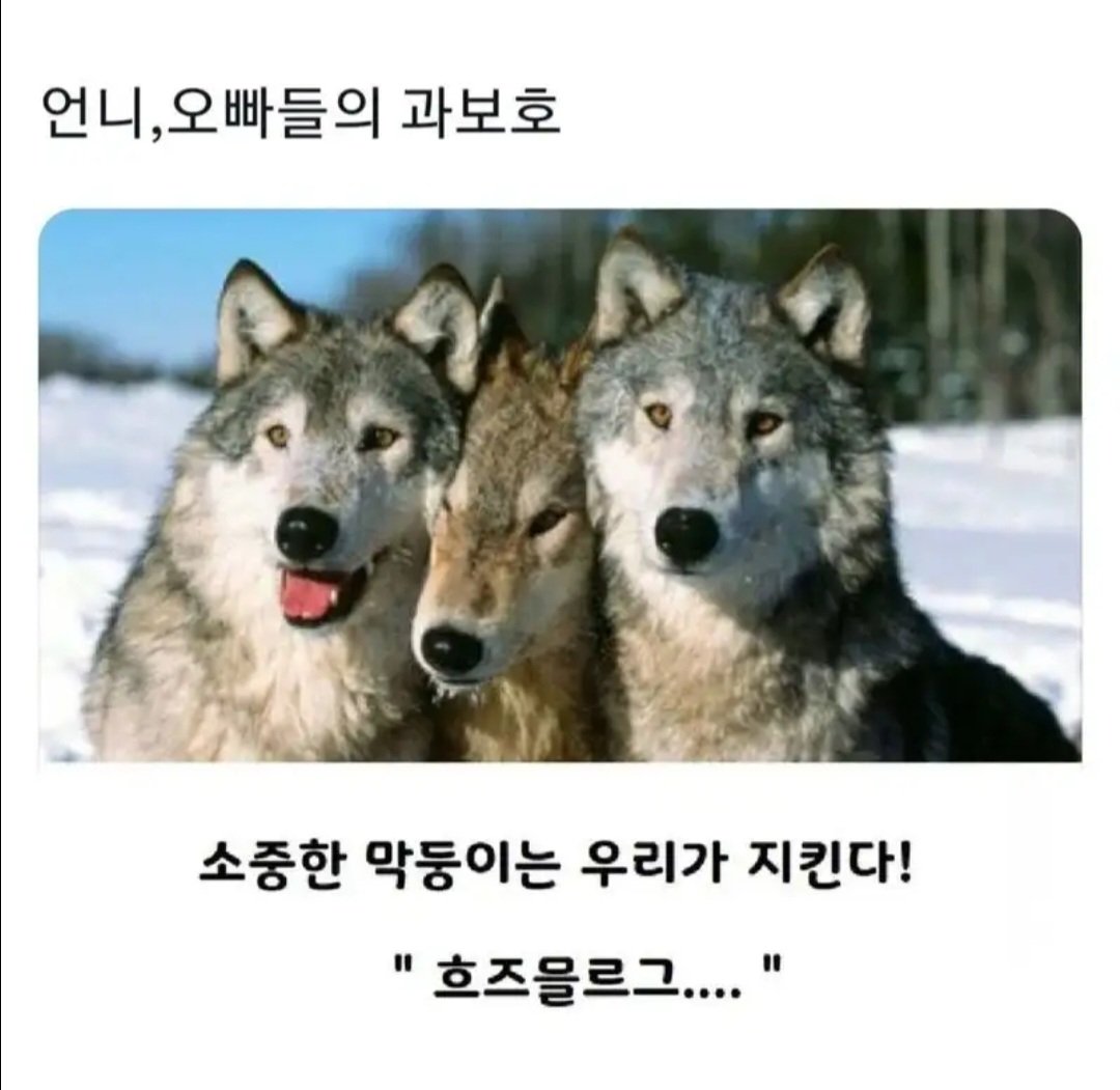 BlockNote image