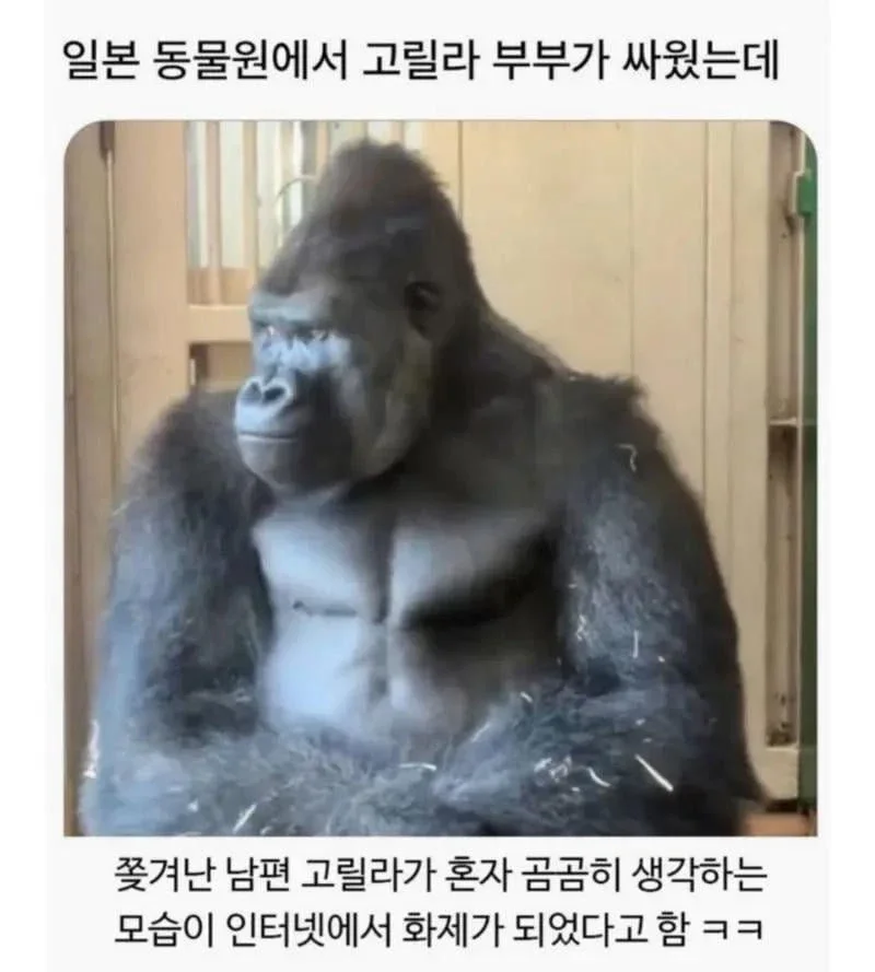 BlockNote image