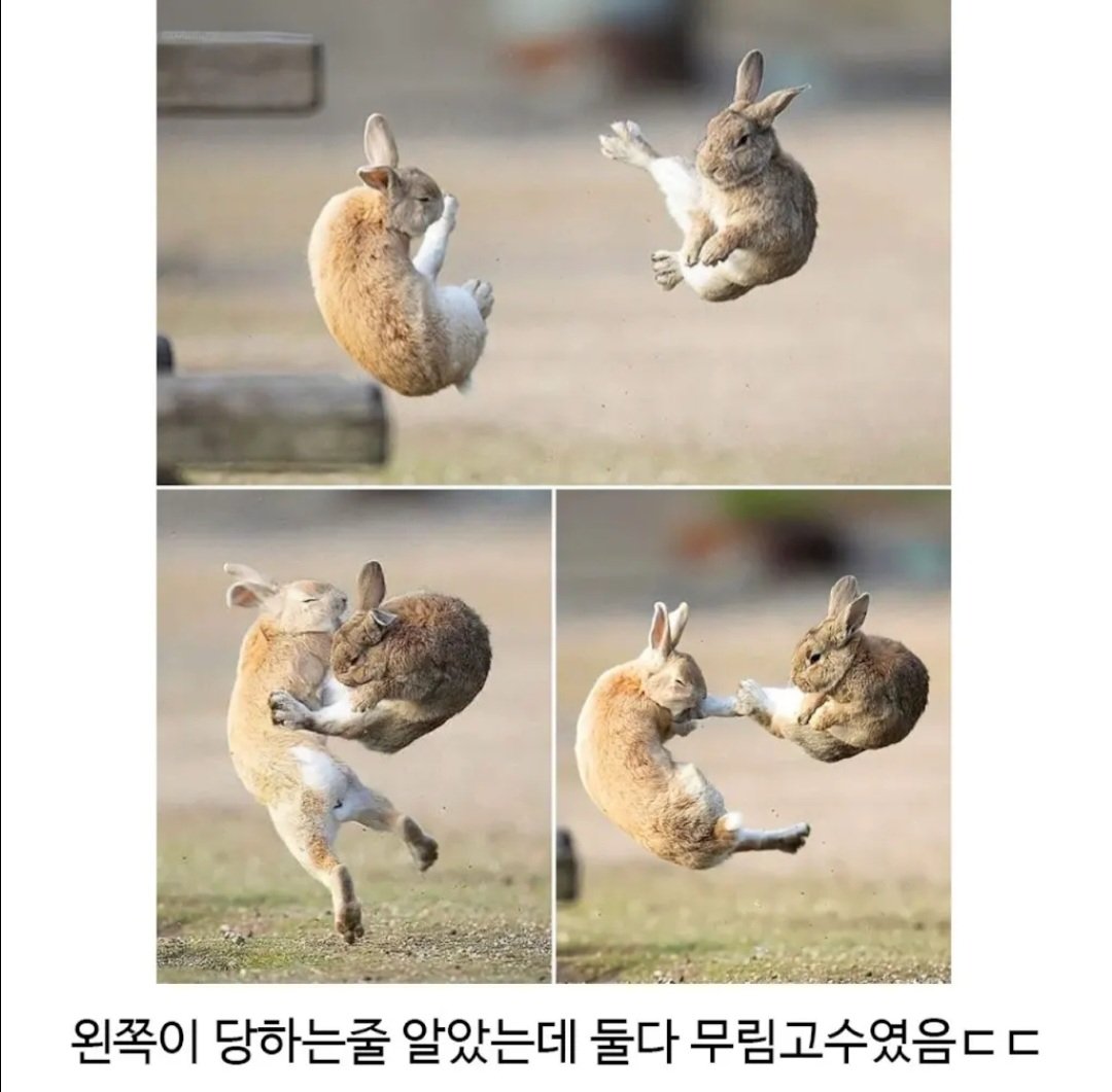 BlockNote image