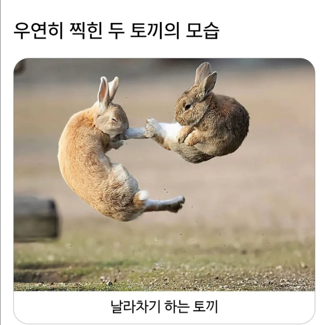 BlockNote image