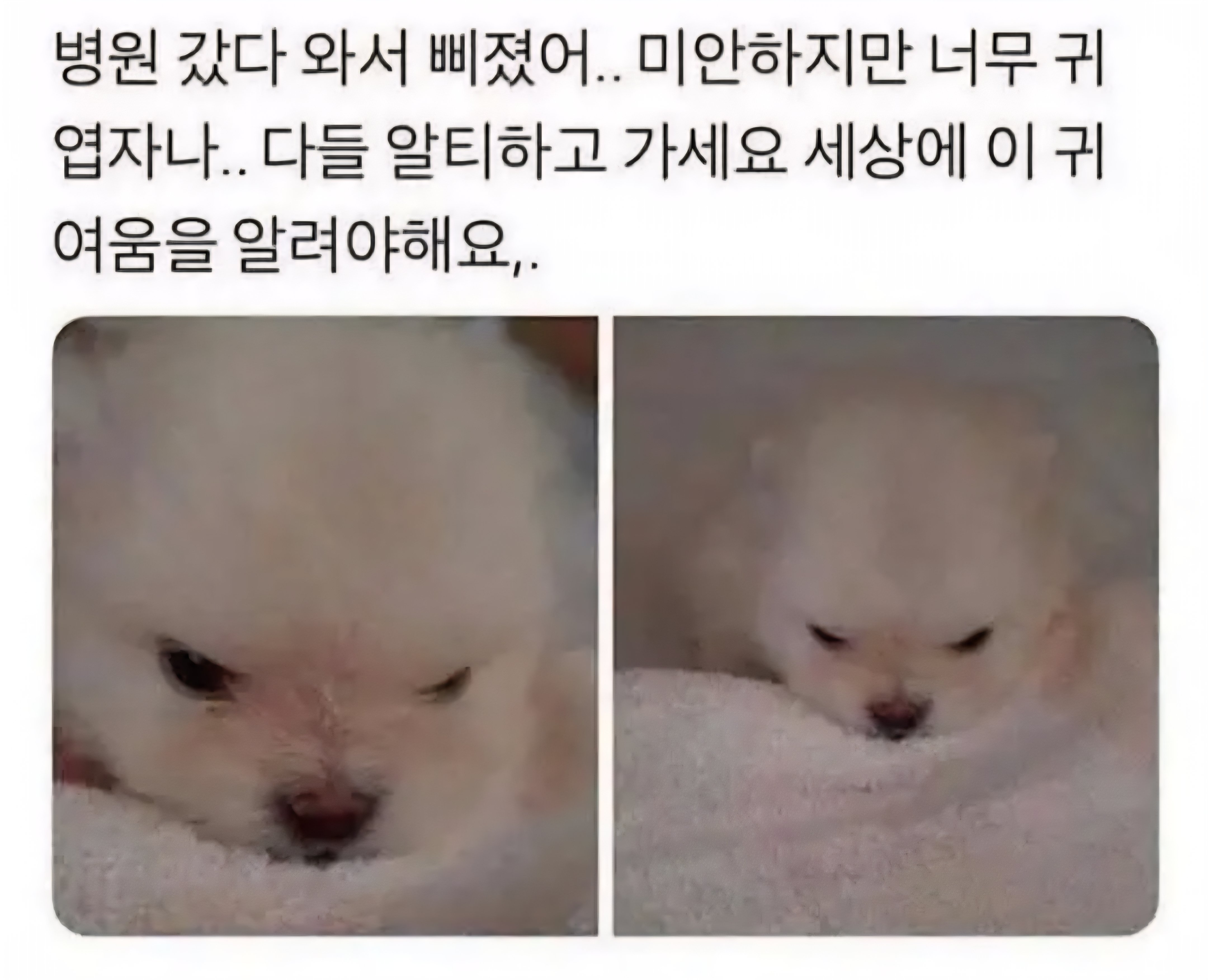 BlockNote image