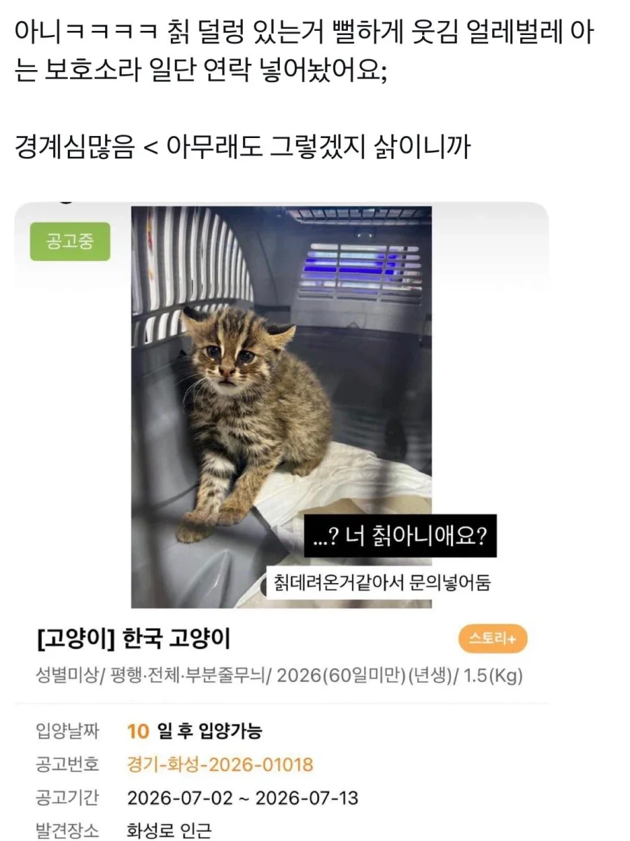 BlockNote image