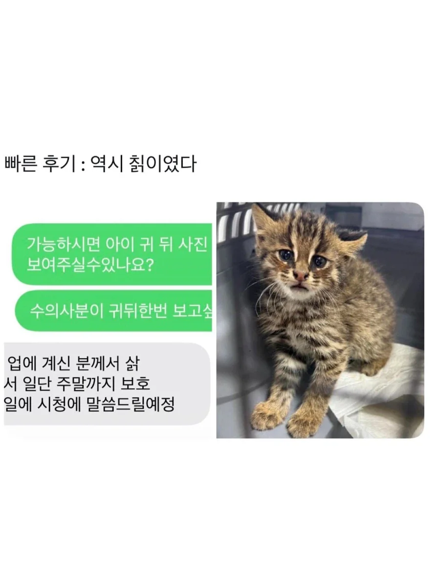 BlockNote image