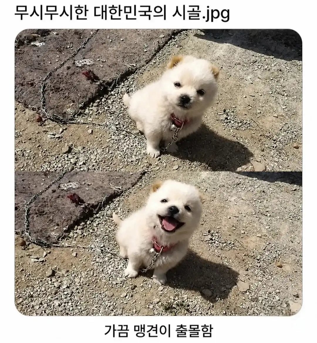 BlockNote image