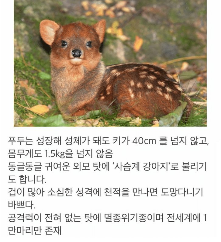 BlockNote image