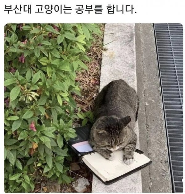 BlockNote image