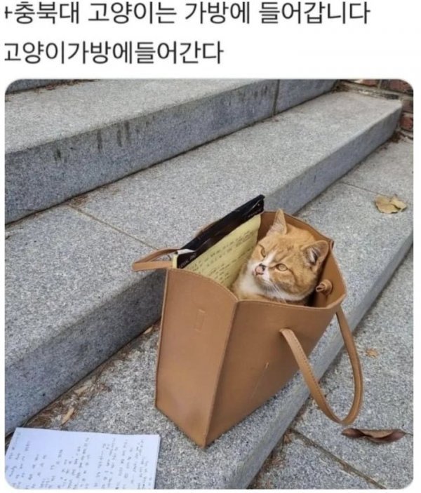 BlockNote image