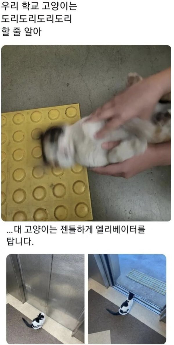 BlockNote image