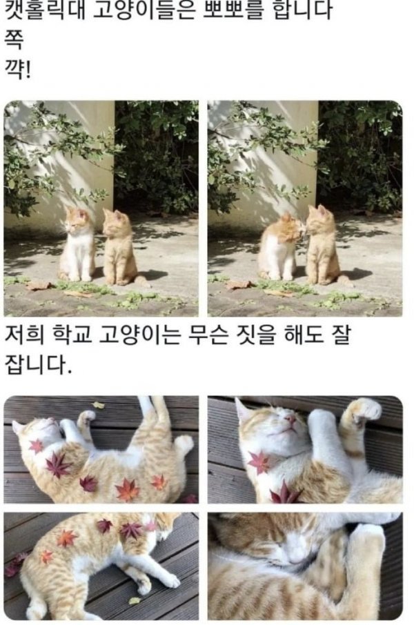 BlockNote image