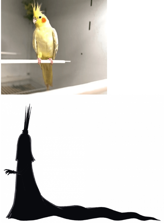 IMG_5062.png