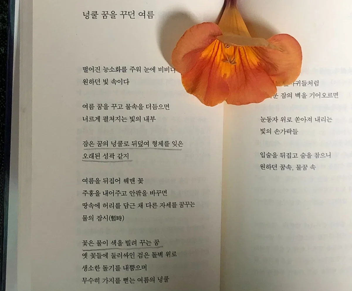 BlockNote image