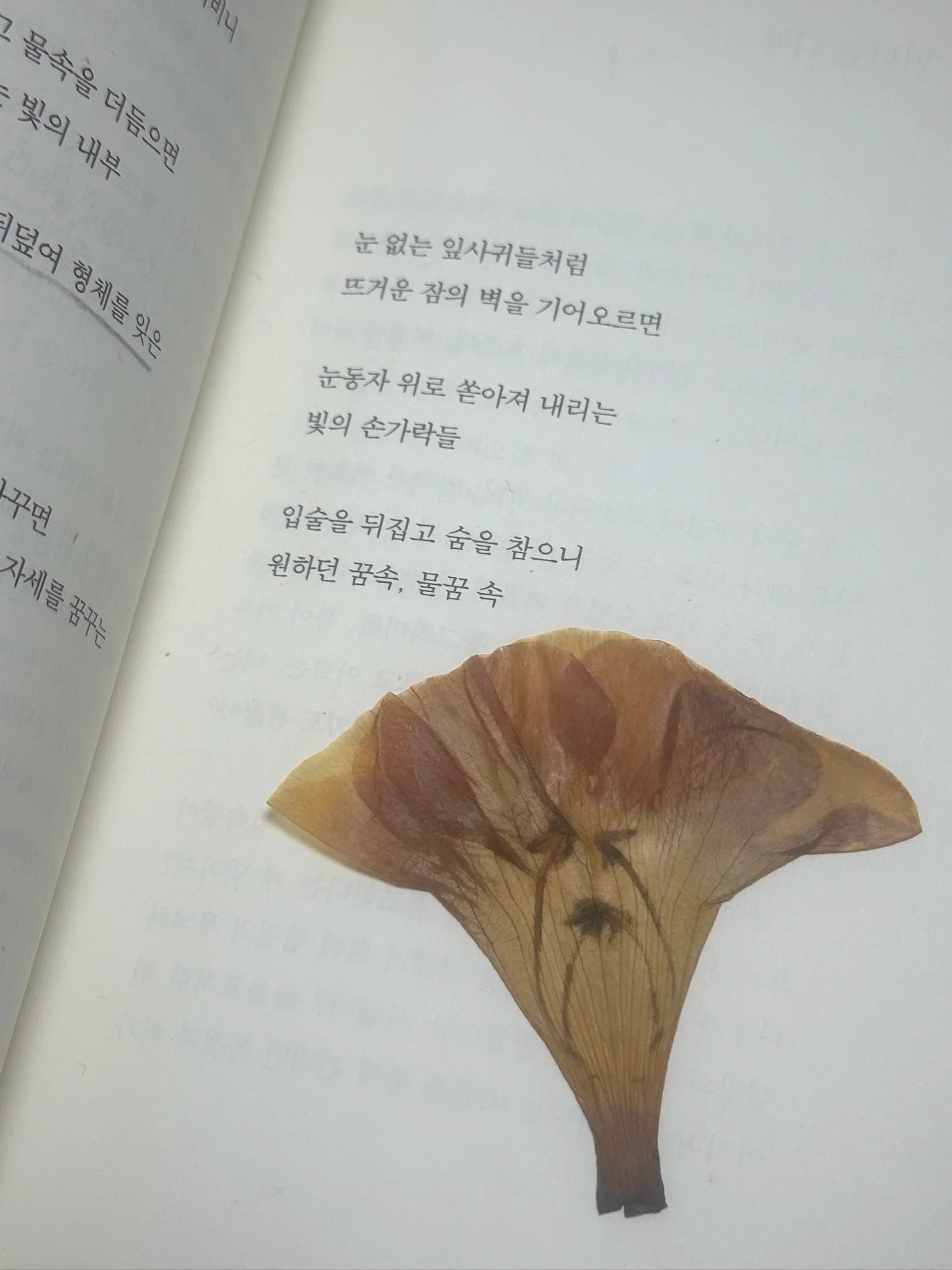 BlockNote image
