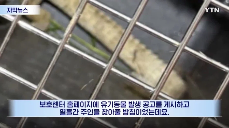 BlockNote image