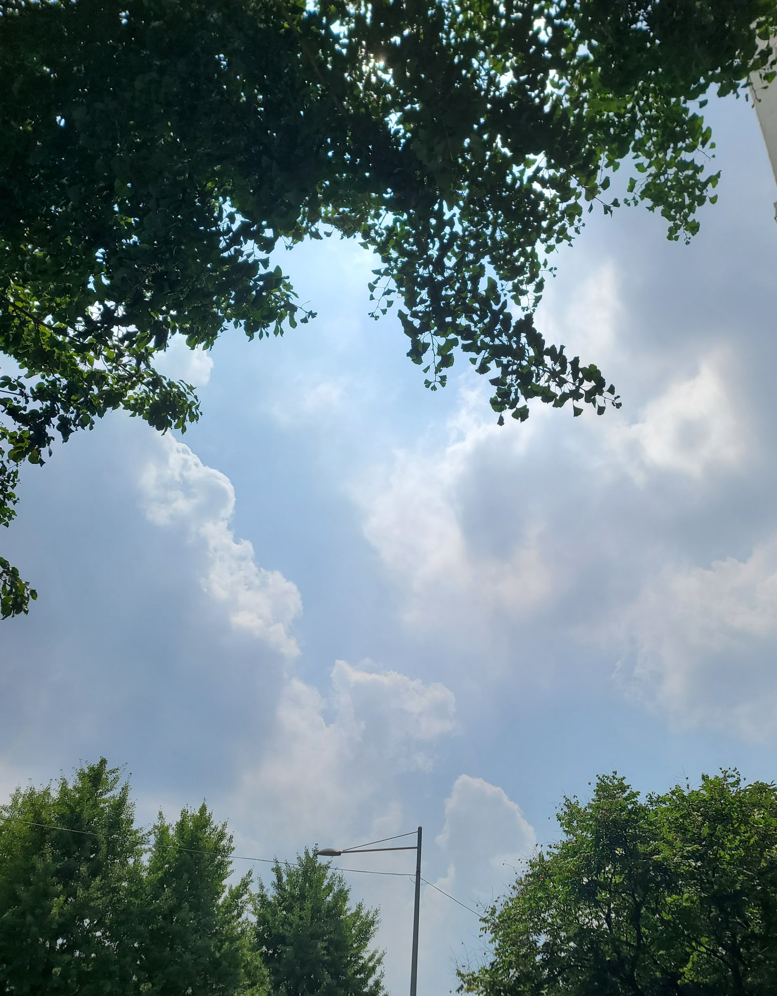 BlockNote image