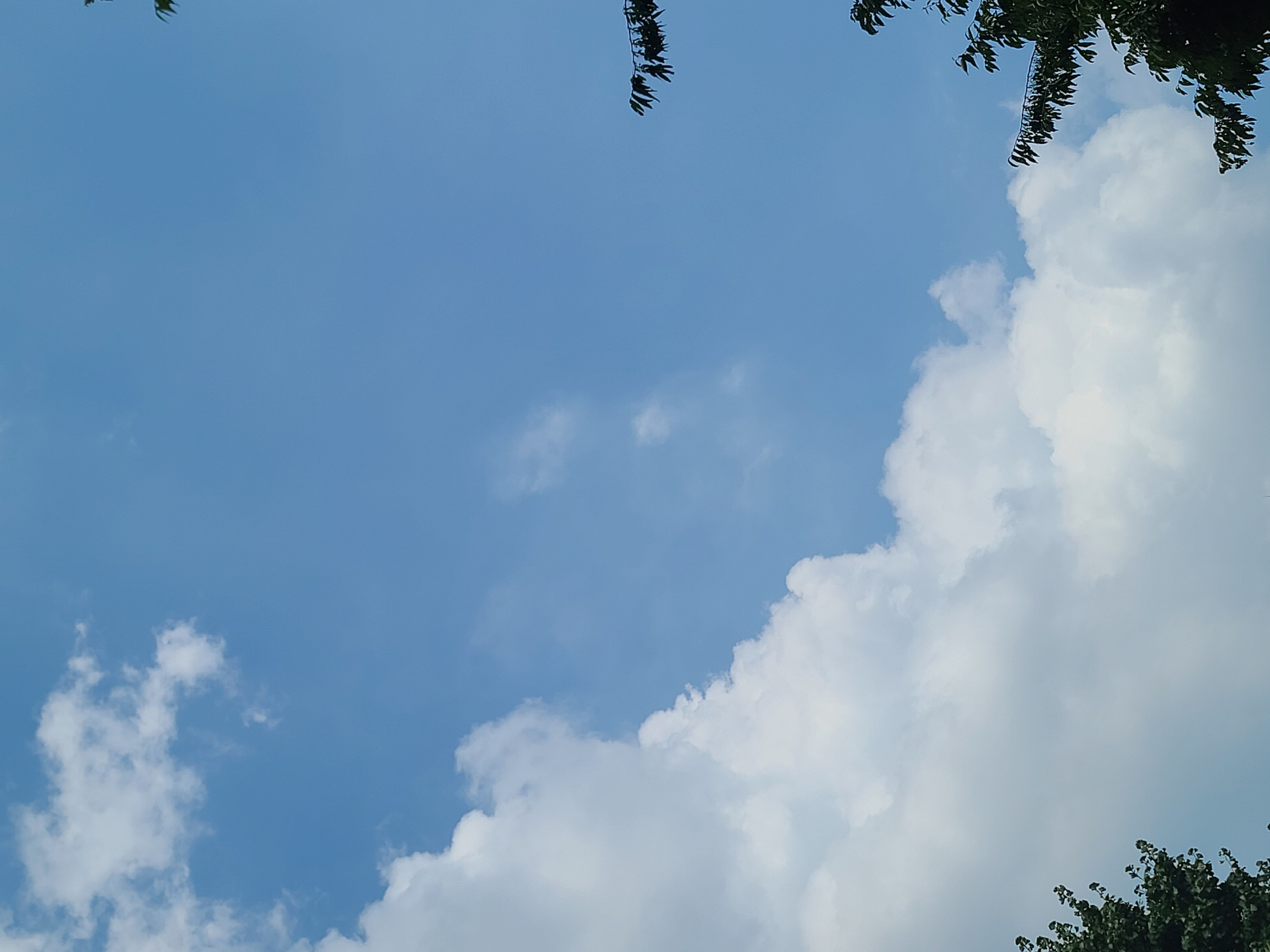 BlockNote image