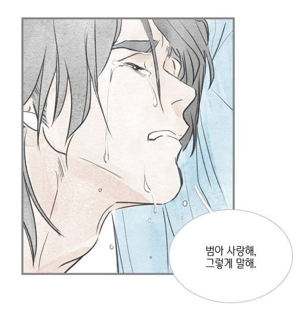 돌핀.jpg