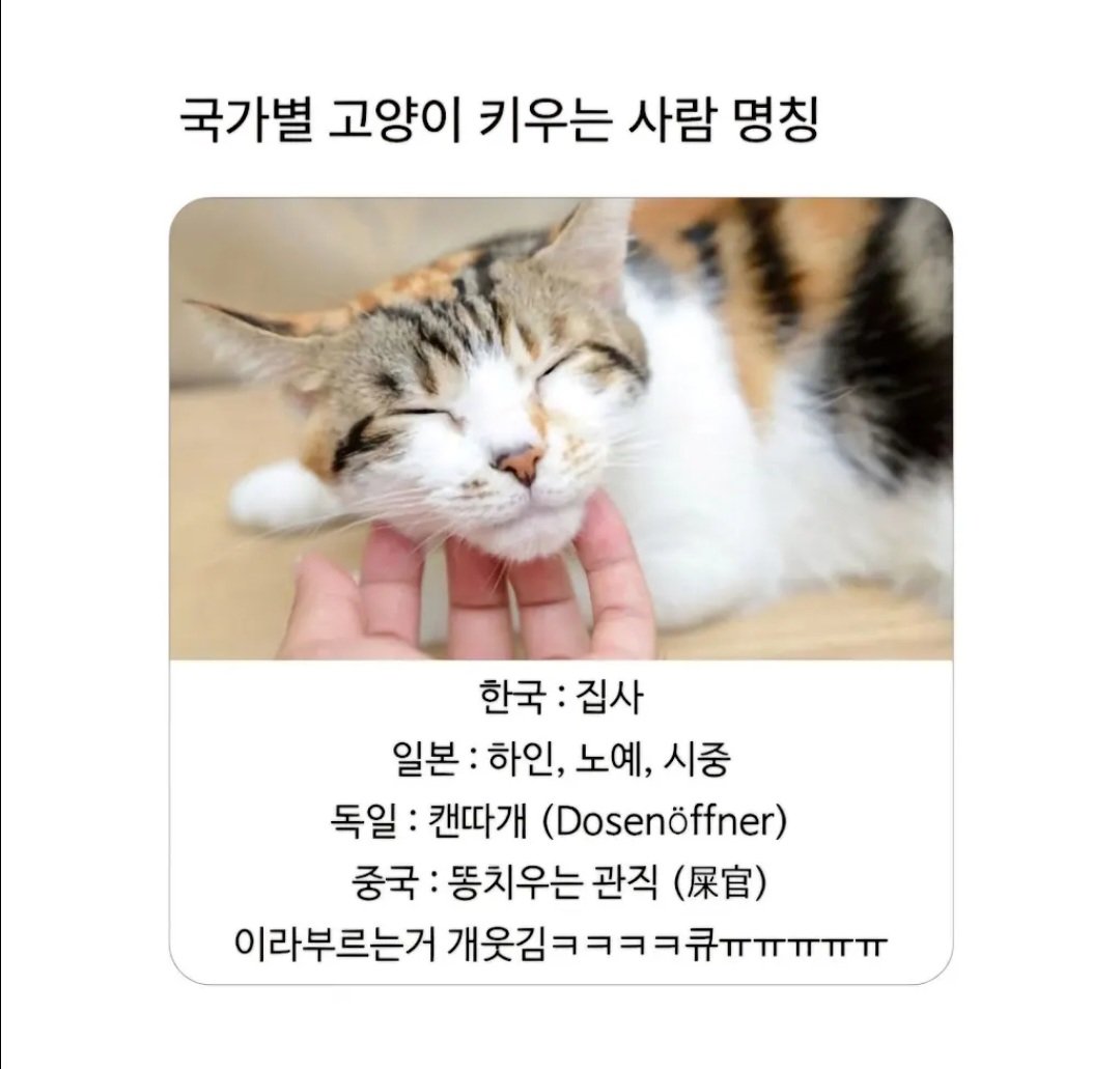 BlockNote image