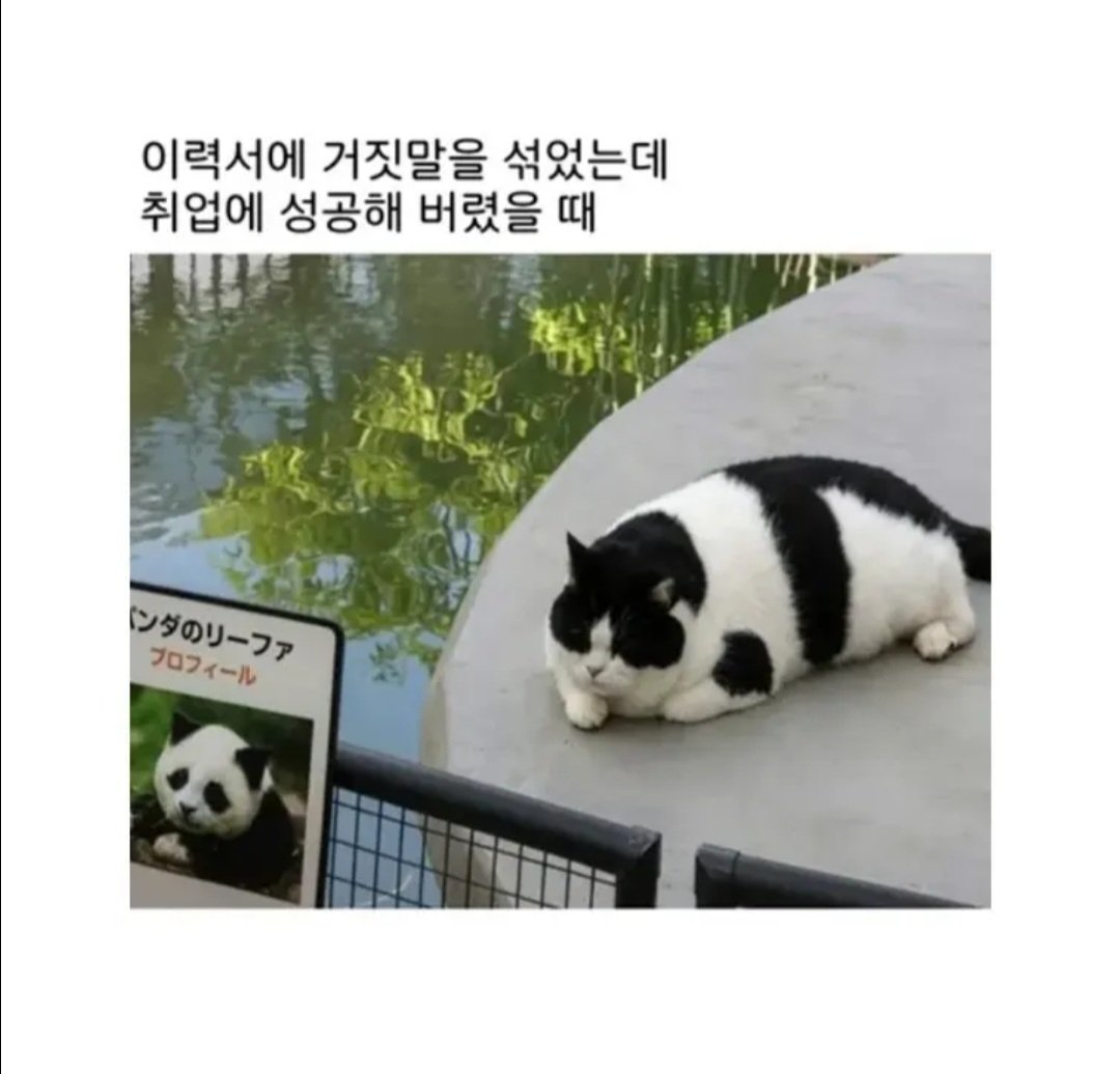 BlockNote image