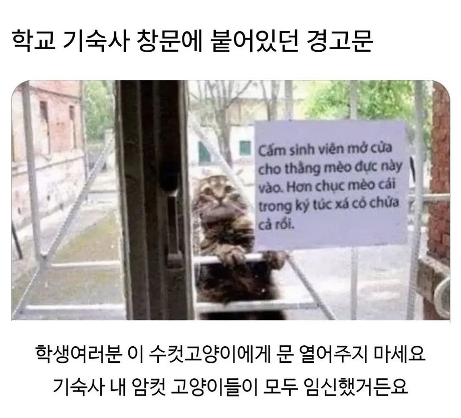 BlockNote image